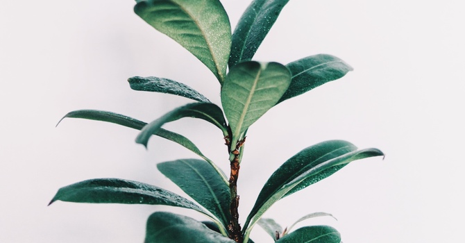 What's Going On When Your Hips Are Making Noise? image